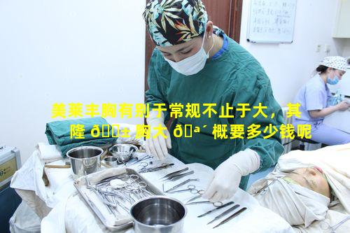 美莱丰胸有别于常规不止于大，其隆 🐱 胸大 🪴 概要多少钱呢